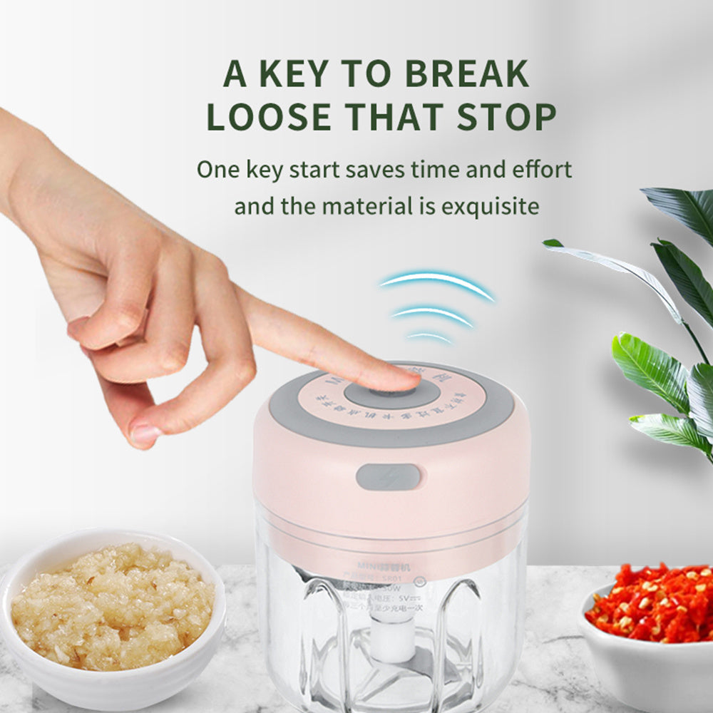 Mini Electric Garlic & Vegetable Chopper