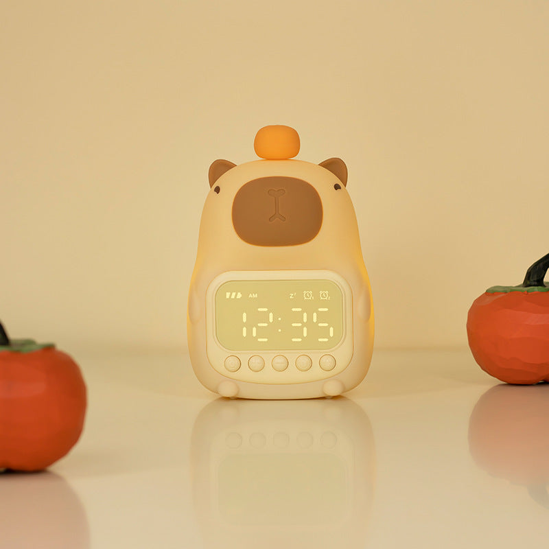 Rechargeable LED Alarm Clock & Night Light