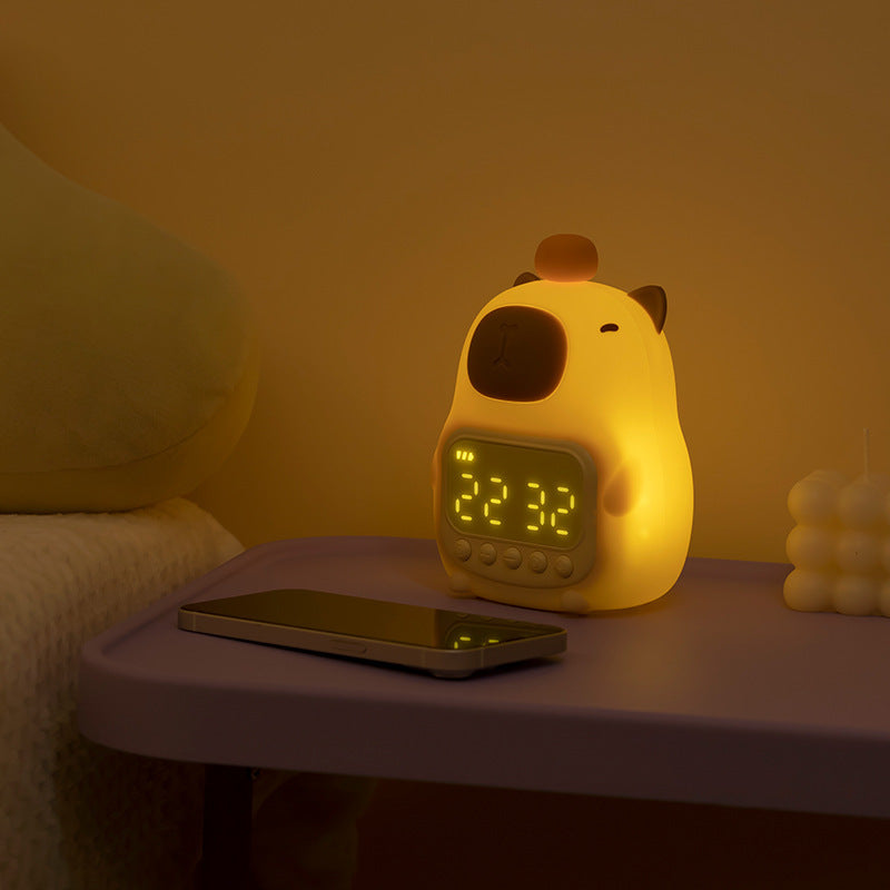 Rechargeable LED Alarm Clock & Night Light