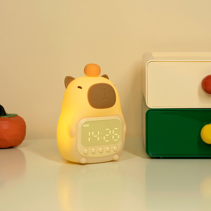 Rechargeable LED Alarm Clock & Night Light