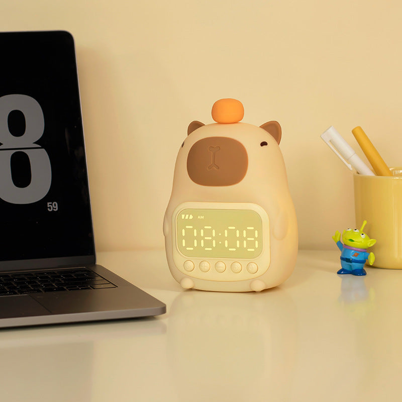 Rechargeable LED Alarm Clock & Night Light