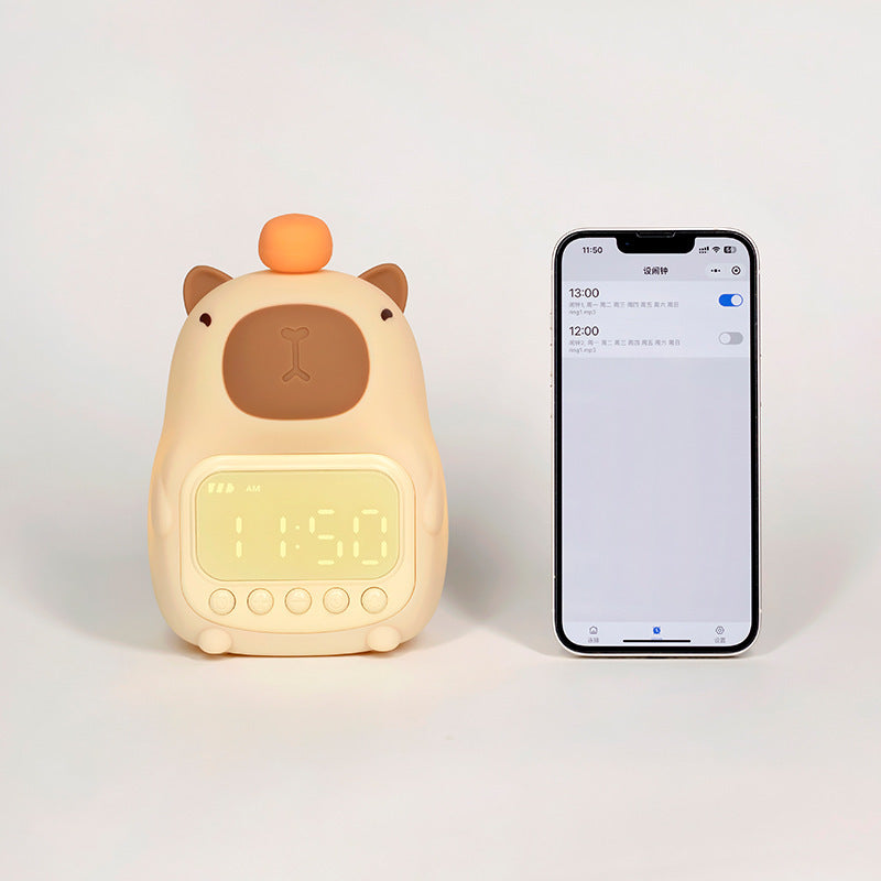 Rechargeable LED Alarm Clock & Night Light